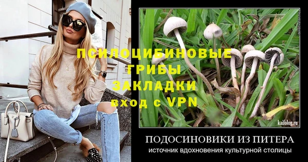 бошки Кинешма