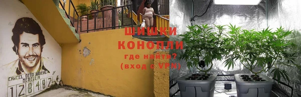 дживик Карпинск