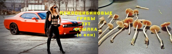 трава Киреевск