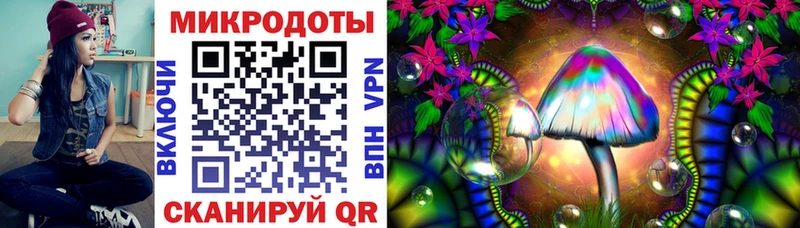 Купить где  Кадников  Псилоцибиновые грибы Psilocybe 